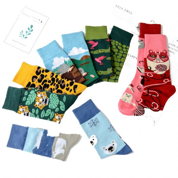 Distribuidora de calcetines desiguales - HNFS20