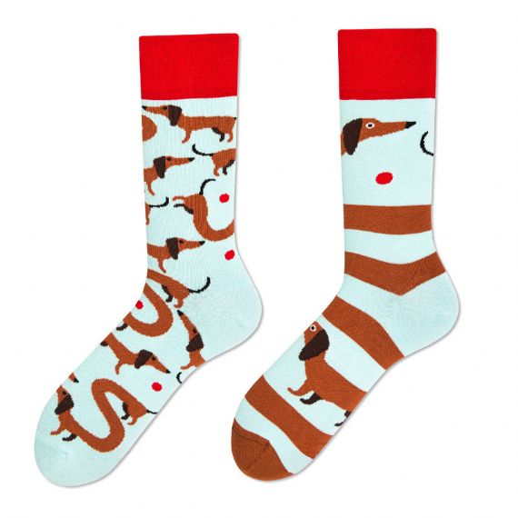 Distribuidora de calcetines desiguales - HNFS20