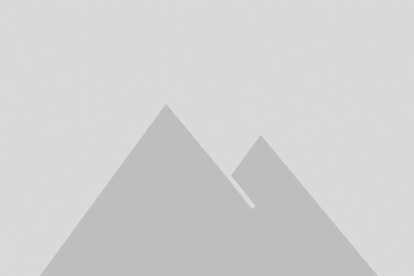 Diseños florales personalizados al por mayor calcetines - HNFS22