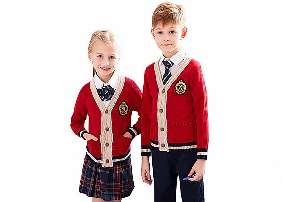 V Neck Long Sleeve School Uniform Sweaters 110cm - 170cm Size With Skirt - 11272178