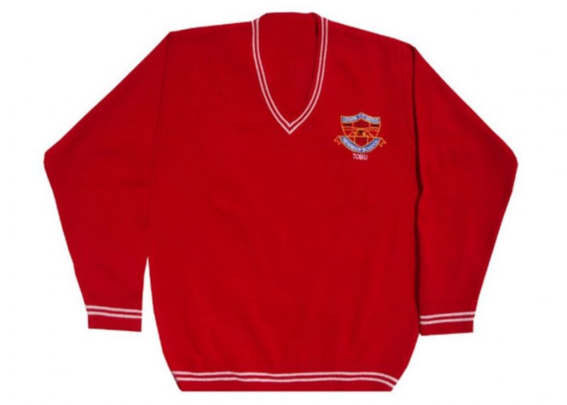 Customize European Style Primary School Uniform Sweaters - 11811137