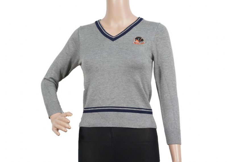 Unisex Grey V Neck Long Sleeve School Sweaters - 12320480