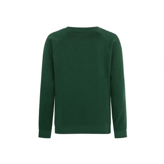 Uniforme escolar pulôver bordado verde - 11272210