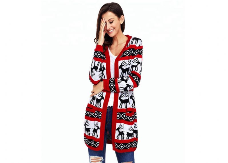 Women's Plus Size Reindeer Christmas Sweater - 11153785