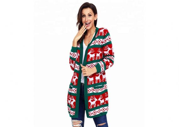 Women's Plus Size Reindeer Christmas Sweater - 11153785