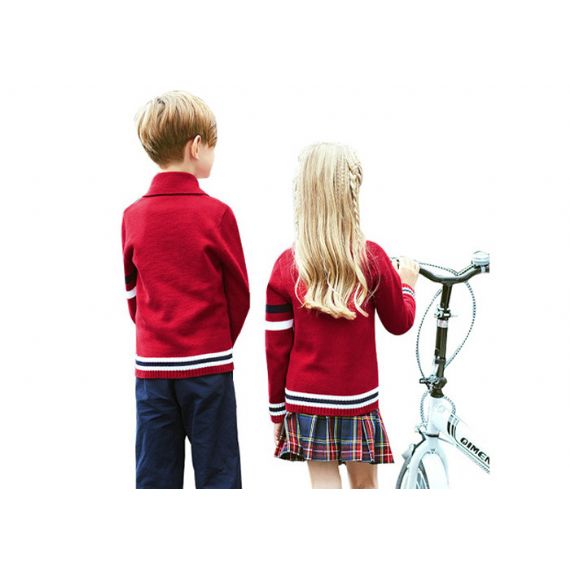 Изготовленная на заказ британская начальная школа хлопка свитеров школьной формы нашивки шеи стиля в v - 11272180