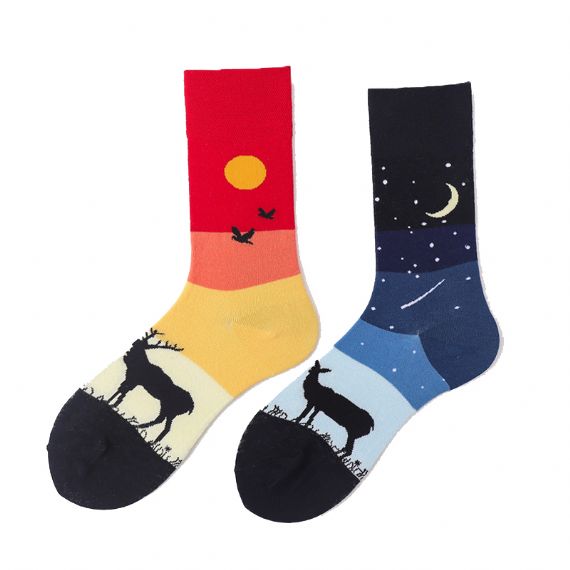 Носки на заказ Wild Life Designs оптом - HNFS23